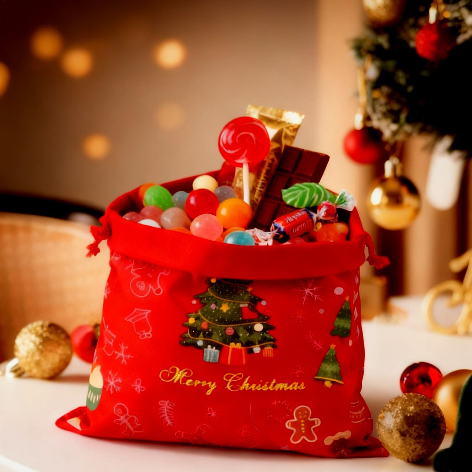 Christmas Treat Bags Reusable  - Food Pouch Reusable recension och pris