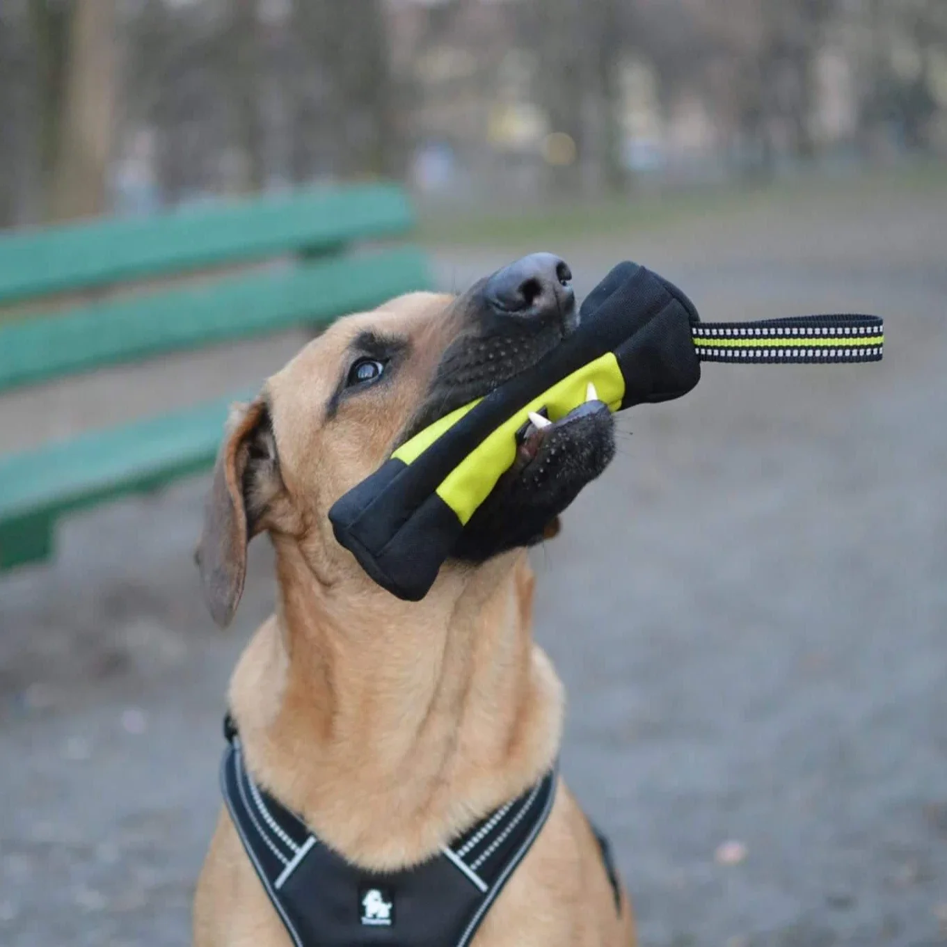 Truelove Dog Training Retrieve - Food Pouch Reusable recension och pris