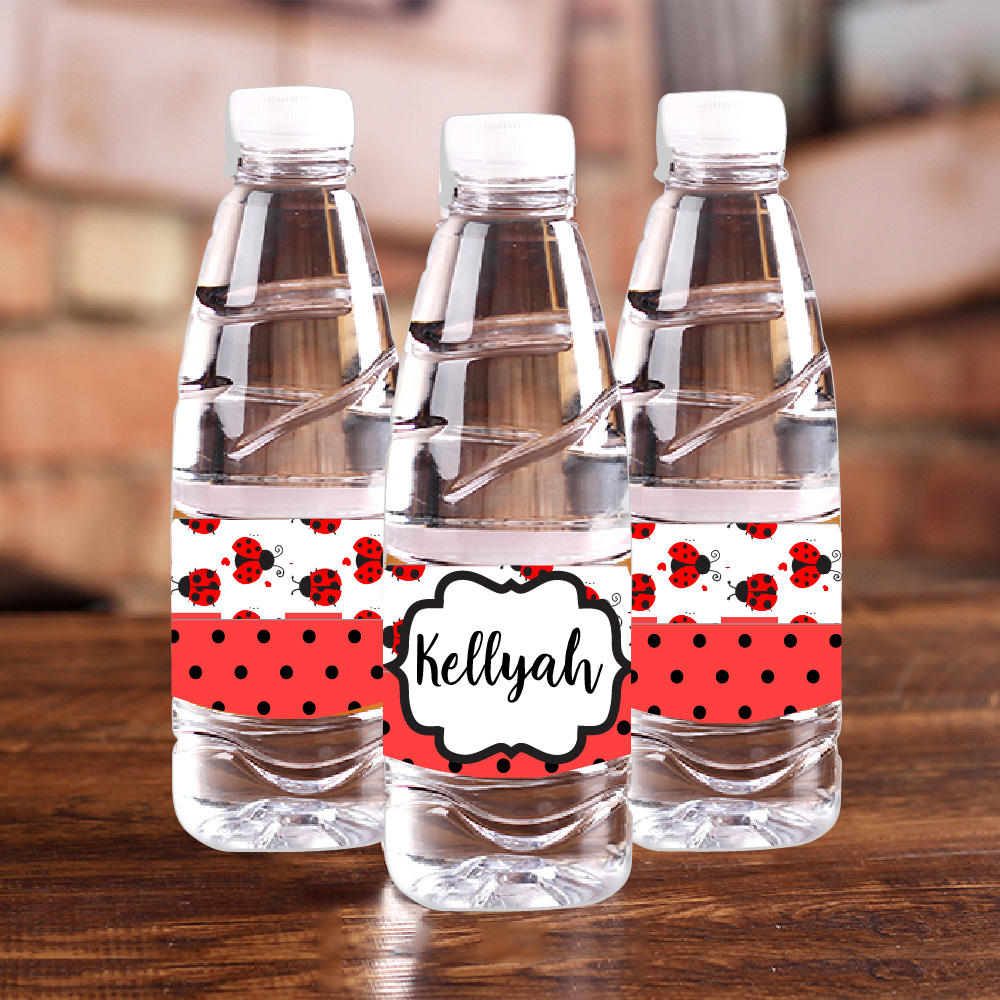 Personalised Ladybug Red Polka - Baby Food For 1 Year Old recension och pris